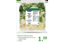 paksoi en chinese kool