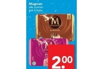 magnum