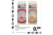 hollandse yoghurt