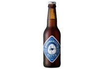 brouwerij t ij natte
