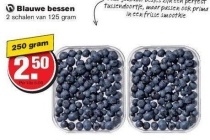 hoogvliet blauwe bessen