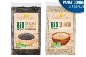 golden sun chiazaad of quinoa