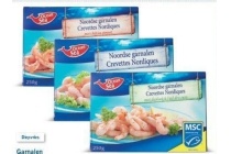 ocean sea garnalen