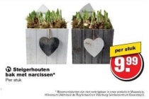 steigerhouten bak met narcissen