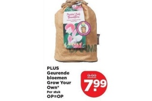 plus geurende bloemen grow your own