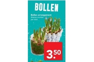 bollen arrangement nu eur3 50