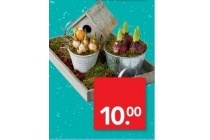 bollen arrangement nu eur10