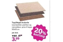 tapijttegel andante