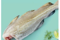skrei kabeljauw