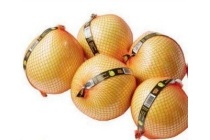 pomelo