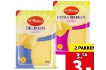 gouda kaas plakken