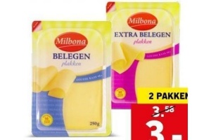 gouda kaas plakken
