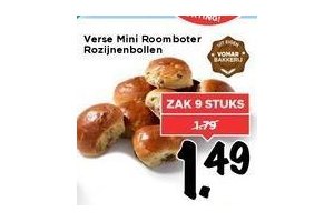 verse mini roomboter rozijnenbollen