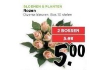 bos rozen 10 stelen