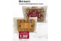 mini kano s