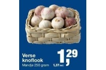 verse knoflook