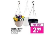 hangbloempot