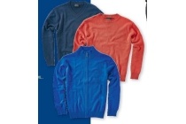 herenpullover of vest