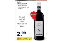 merlot del veneto igp