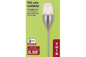 rvs solar tuinfakkel