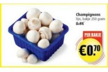 champignons