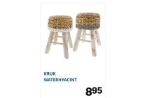 kruk waterhyacint