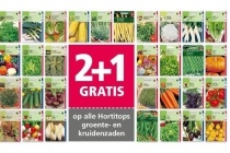 2 1 hortitops