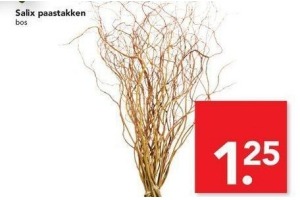 salix paastakken