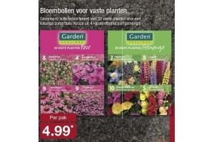 bloembollen voor vaste planten