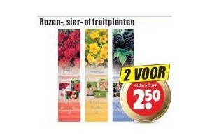 rozen sier of fruitplanten