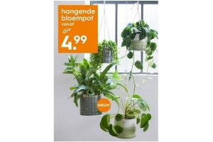 hangende bloempot