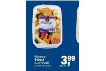 horeca select tutti frutti