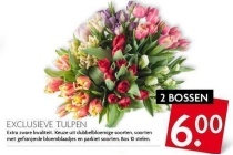 exclusieve tulpen