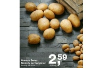 horeca select melody aardappelen