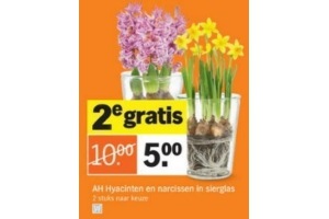 ah hyacinten en narcissen in sierglas