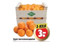 hand perssinaasappelen