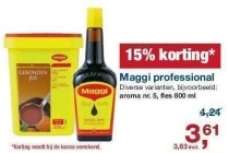 maggi professional