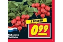 hollandse radijsjes