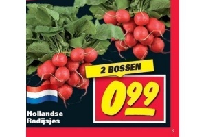 hollandse radijsjes