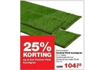 central park kunstgras