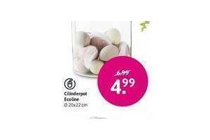 cilinderpot ecoline nu eur4 99