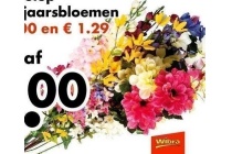 voorjaarsbloemen