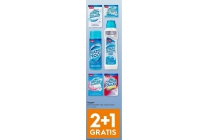texpert