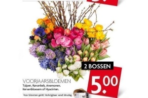 voorjaarsbloemen