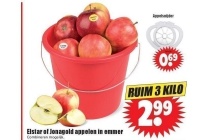elstar of jonagold appelen in emmer