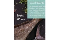 corvina