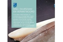 schelvisfilet met vel msc