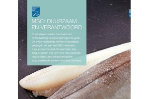 schelvisfilet met vel msc