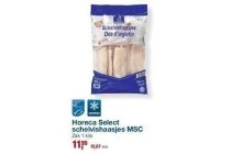 horeca select schelvishaasjes