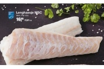 lenghaasje msc